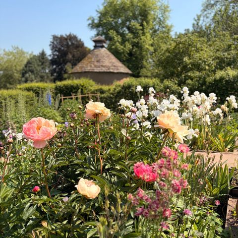 Netherwood Estate Open Gardens