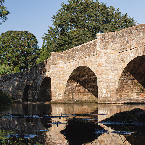 River Teme under Leintwardine Bridge