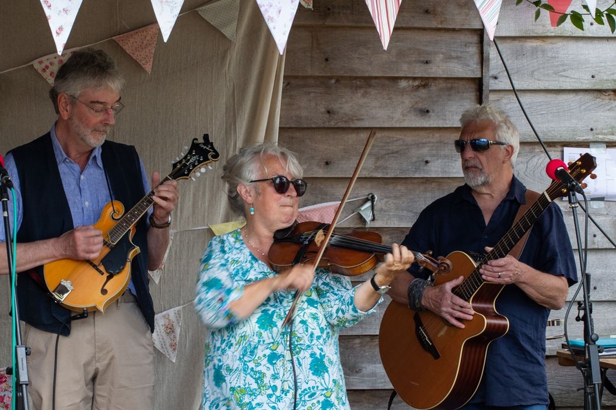Musical Band Entertainment