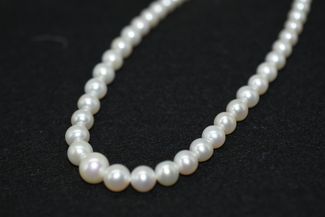 David James Jewellery