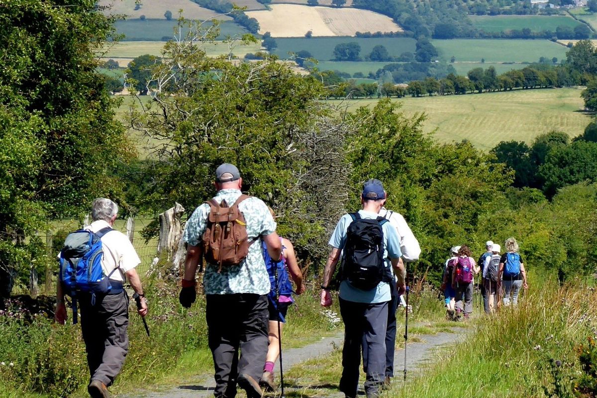 Ross Walking Festival