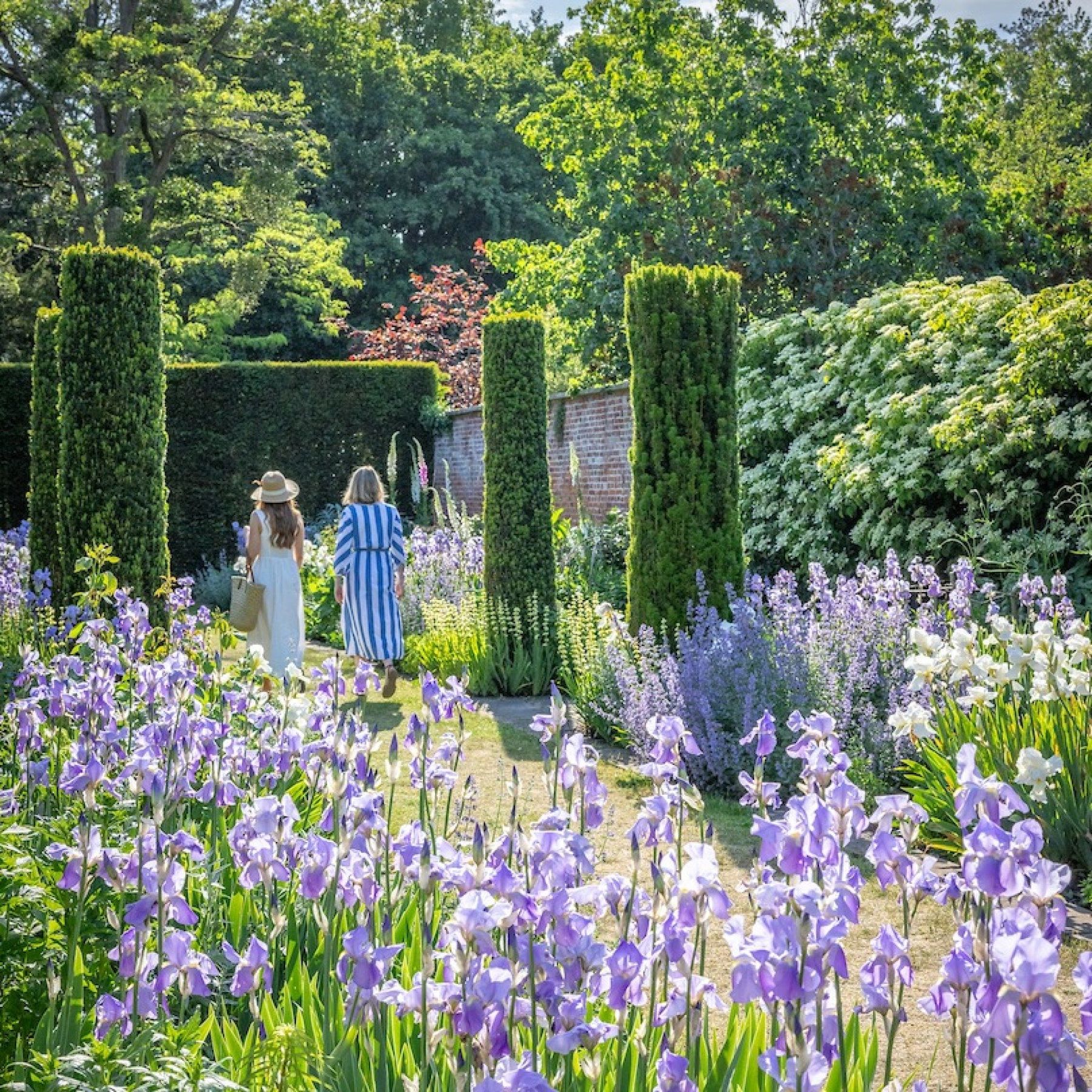 two people in the distance in the Gardens with blue flowers.