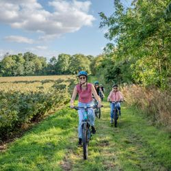 White Heron E-Bike Tour & Tastings