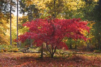 Queenswood Country Park