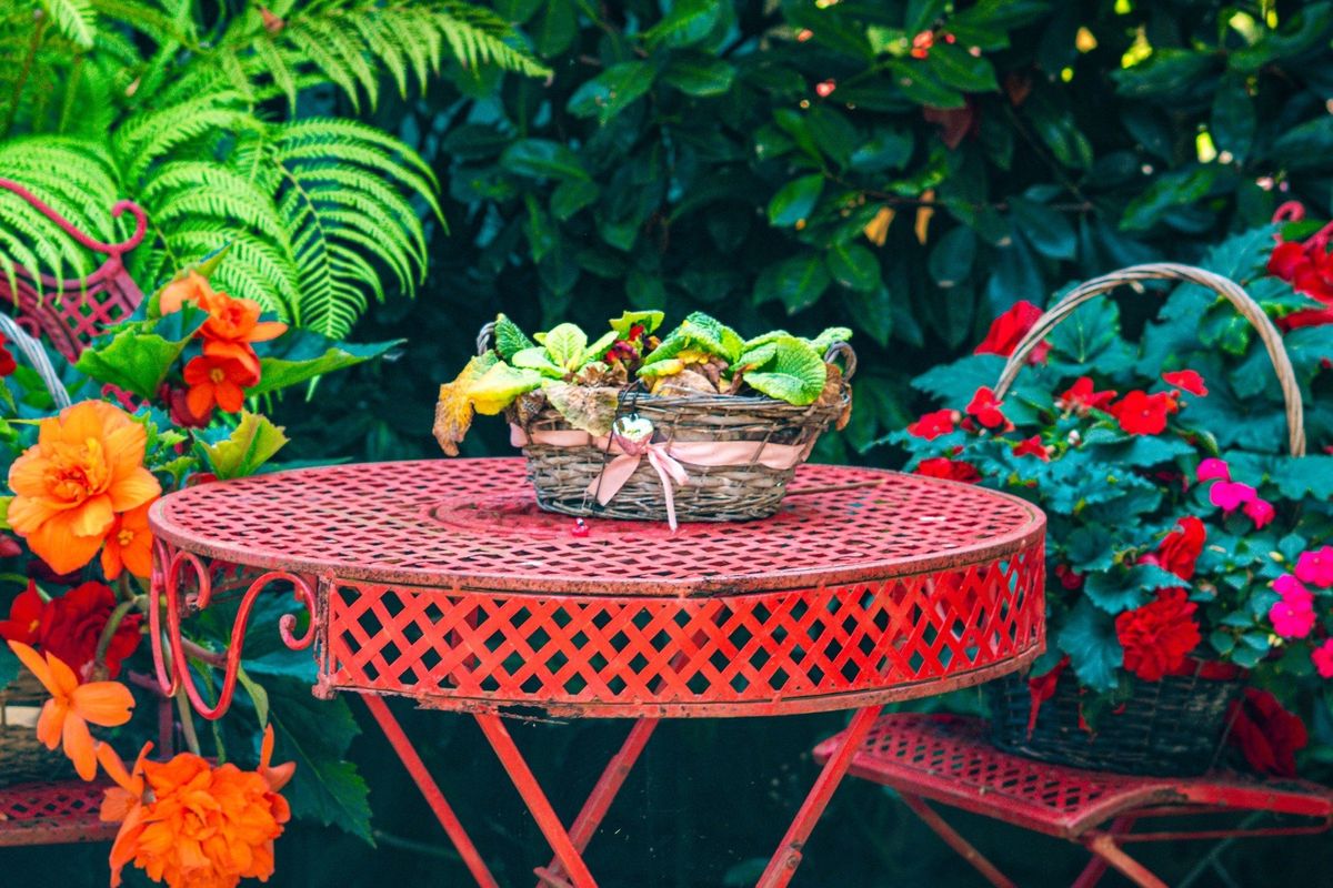National Garden Scheme Open Day