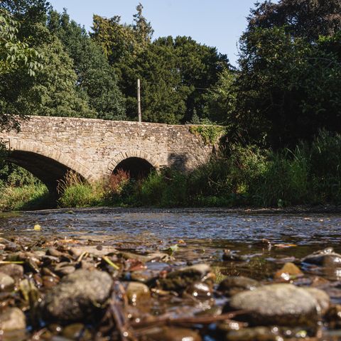 River arrow at Pembridge