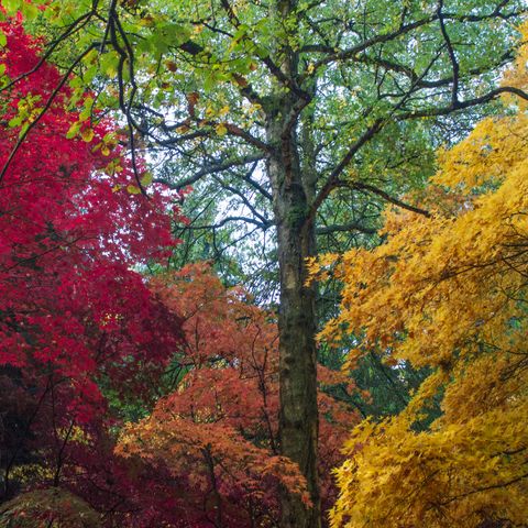 Queenswood Country Park