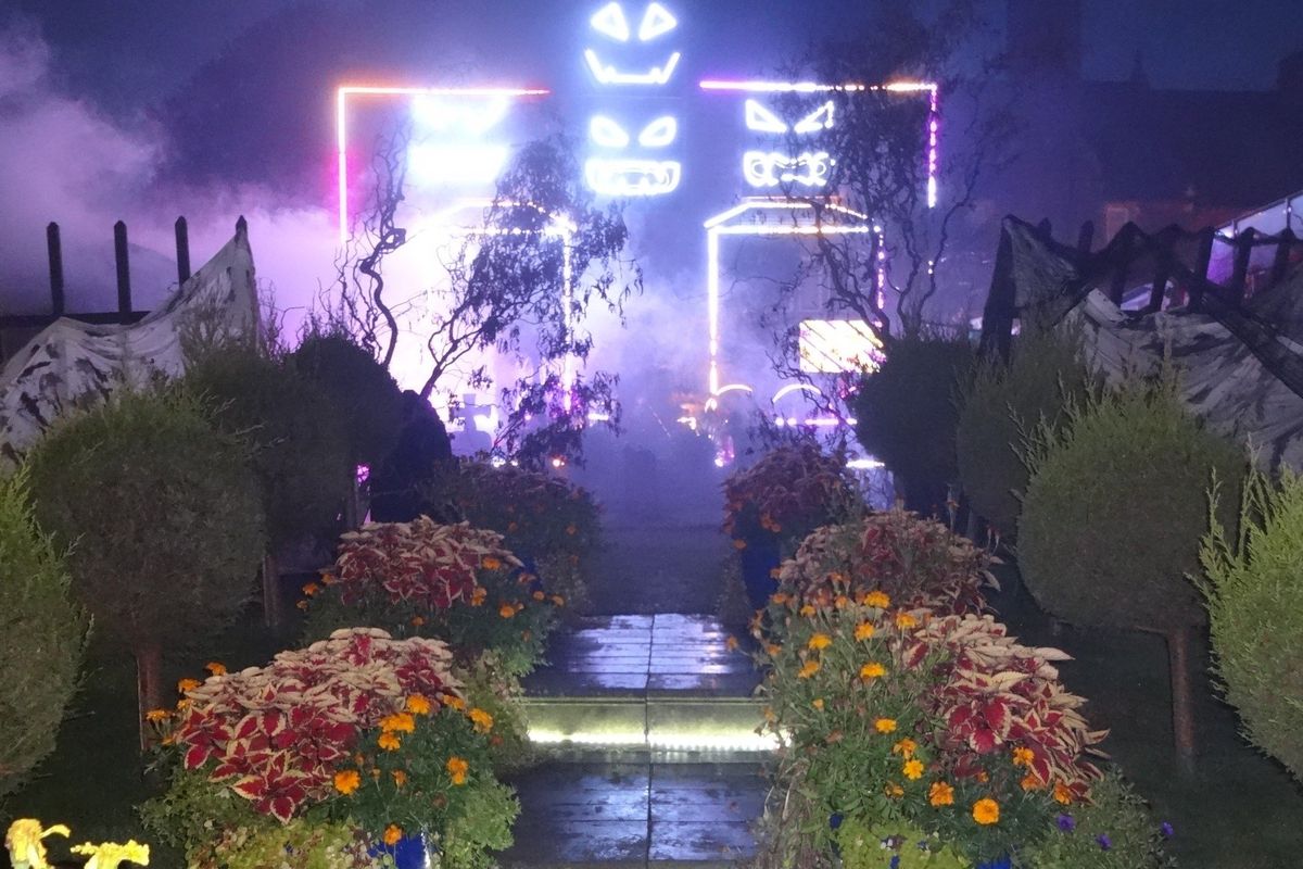 Halloween light show
