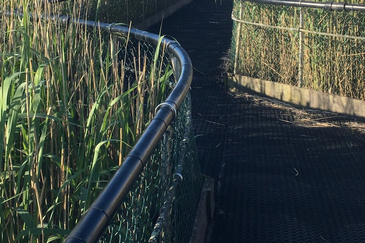 Newport Wetlands