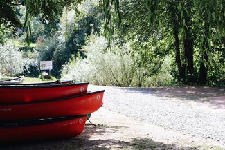 canoes