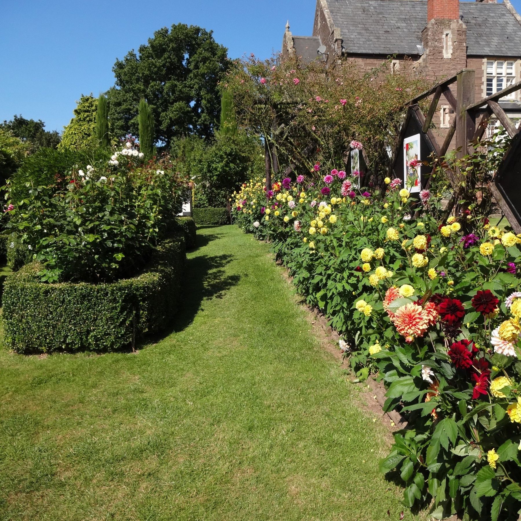 Alice in Wonderland garden