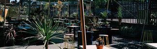 the yard