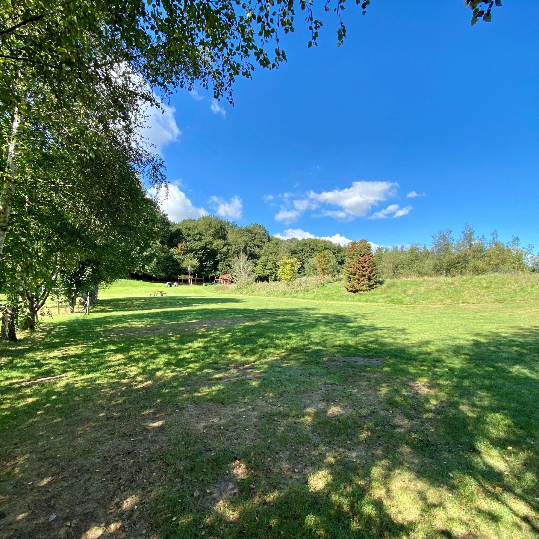 Park Avenue - camping field