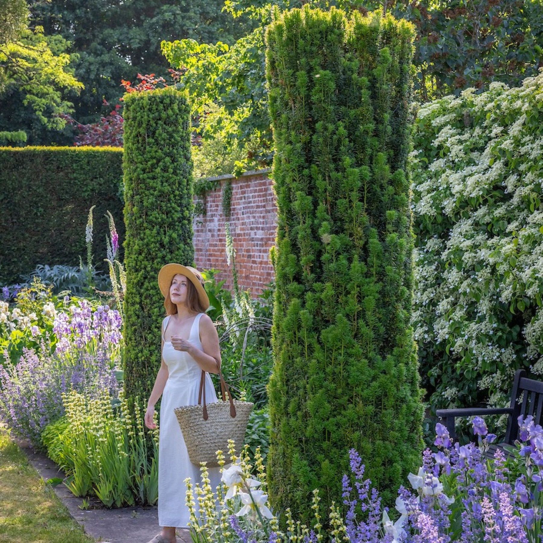 Lady in the gardens standing between two trees, surrounded by blue flowers