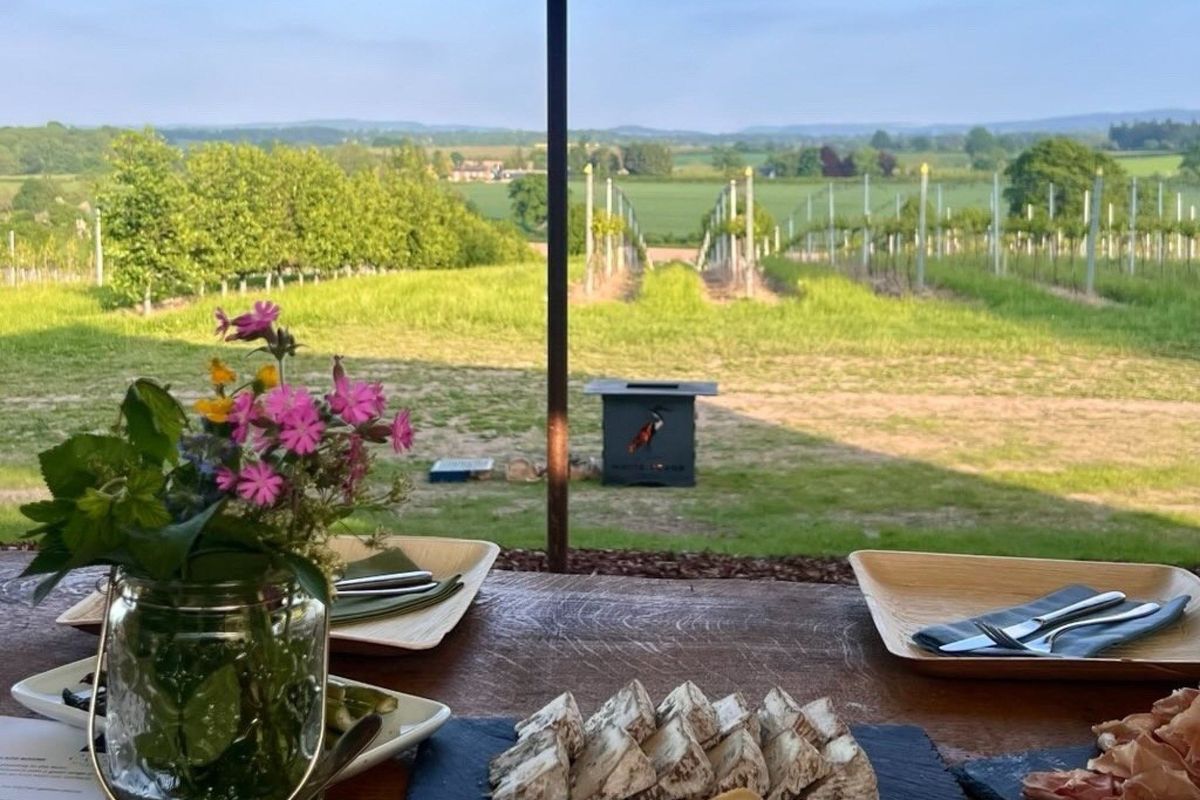 Lunch in the Vineyard