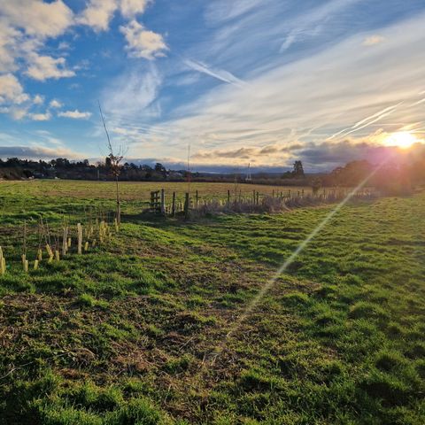Hereford River Loop - Free Guided Walk in Herefordshire