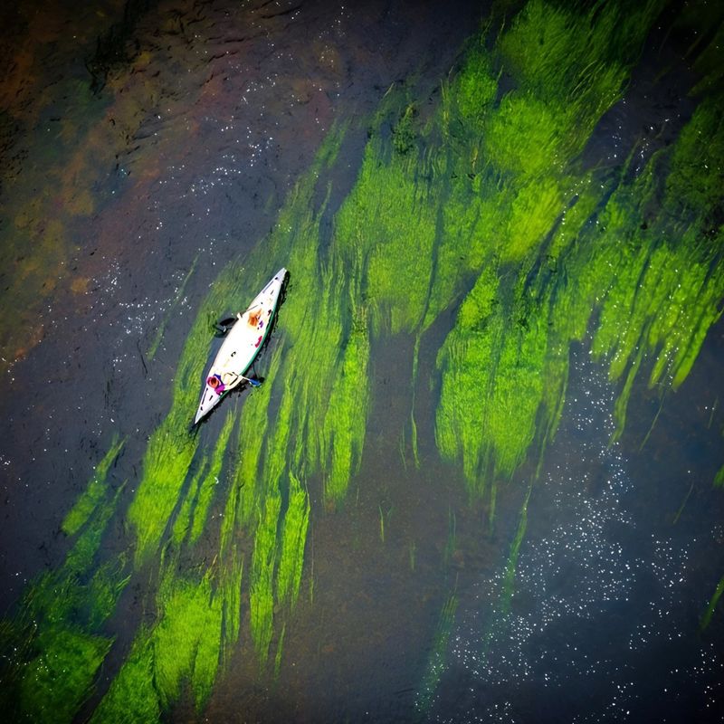 Want to Canoe