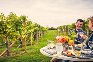 Coddington Vineyard