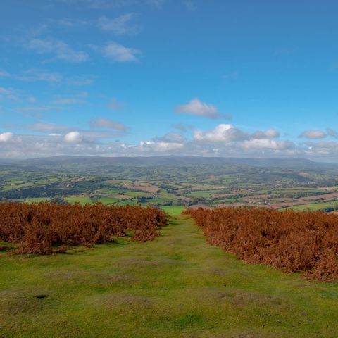 garway hill