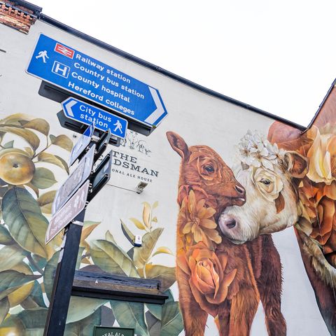 Street art mural called Cattles and Apples