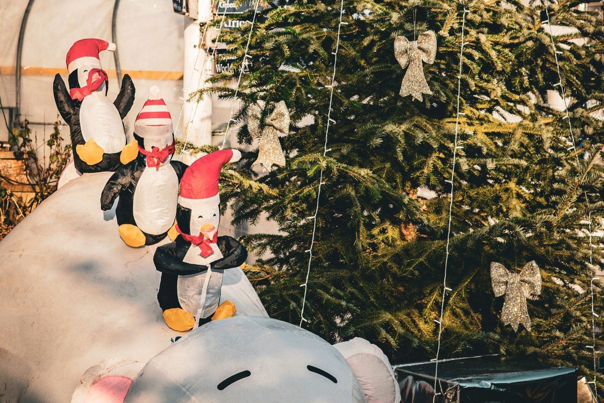 Winter Wonderland Daytime Event