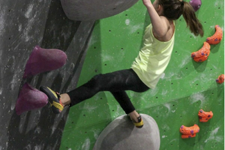 Green Spider Climbing