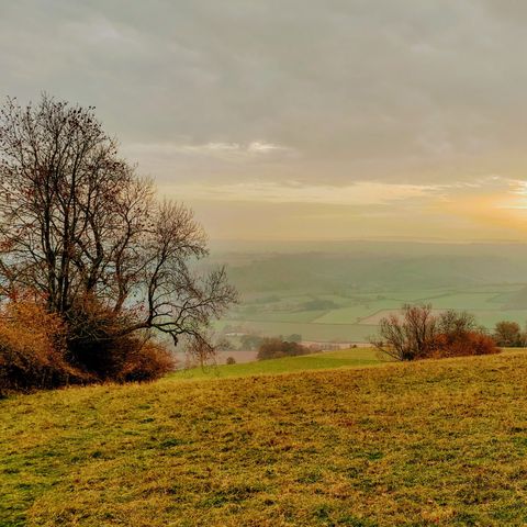 Golden Valley