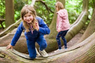 Children playing on logs