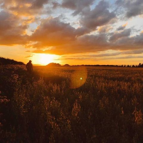 golden hour herefordshire