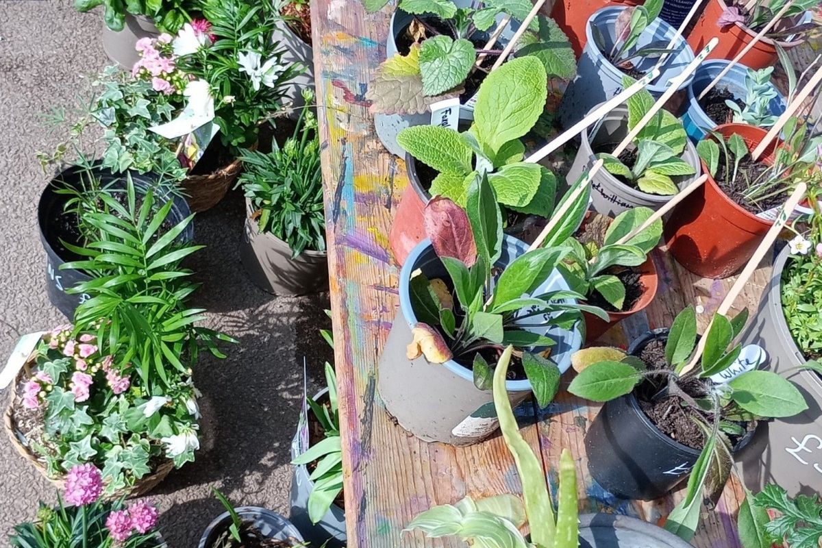 Root to Fruit Garden Festival