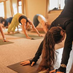 Plantation Villa at Ruxton Farm | Yoga, Ayurveda & Mindfulness Retreats