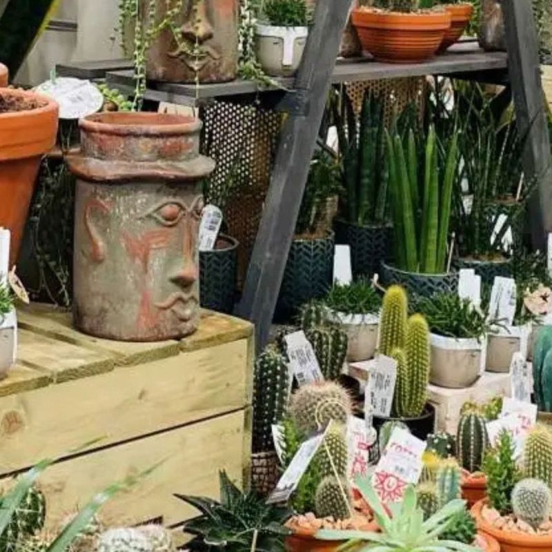 Hereford Garden Centre
