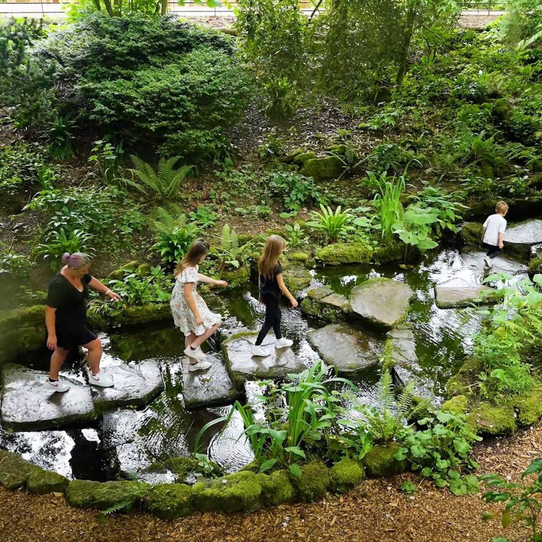 Family of 4 stepping on the stepping stones in the river