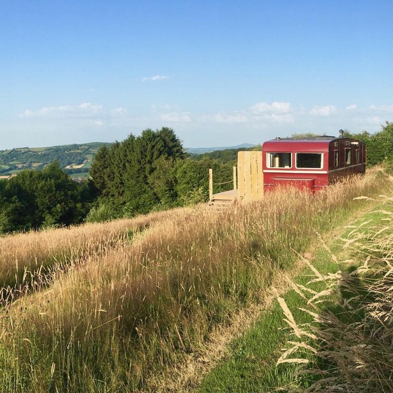 The Wagon Above the World
