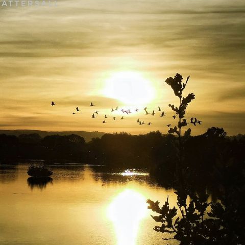 Susan Tattesall Brockhall Quarry 2