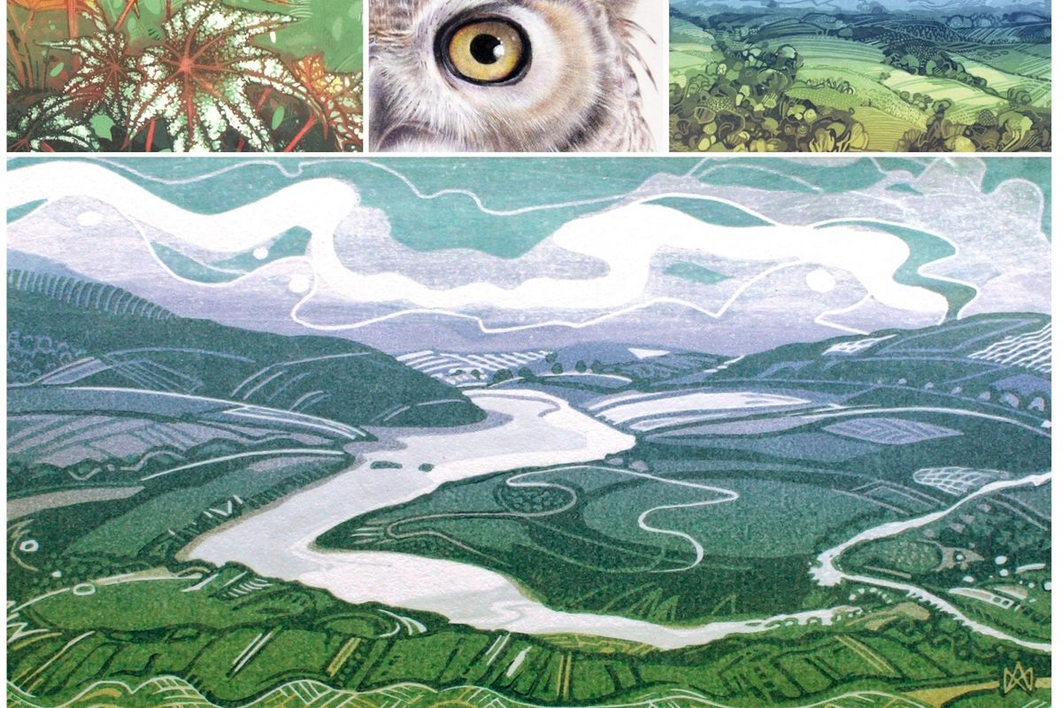 Collage of artworks by artist Miranda Whitten-Walker