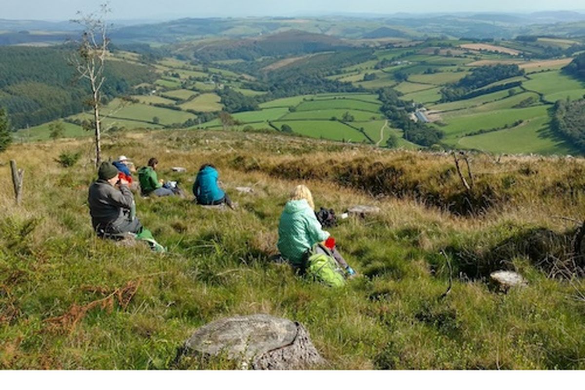 radnor forest ramble