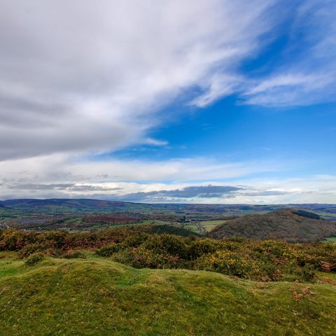 Hergest Ridge