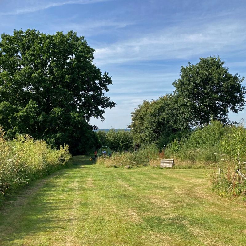 Maggie's Field Campsite & Cook Hut