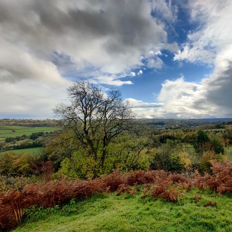 Hergest Ridge