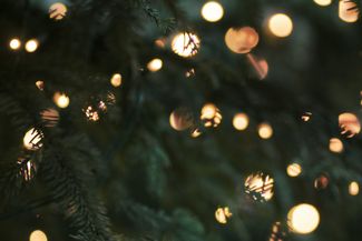 outdoor fairy lights