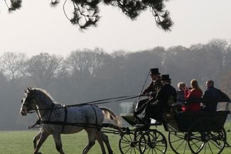 Horse-drawn carriage ride