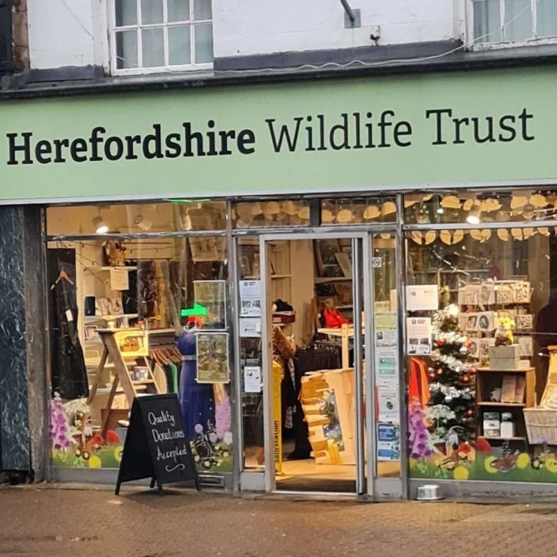 Herefordshire Wildlife Trust Charity Shop, Ledbury

