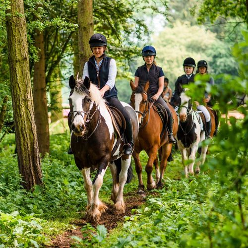 Noakes Farm Riding Centre