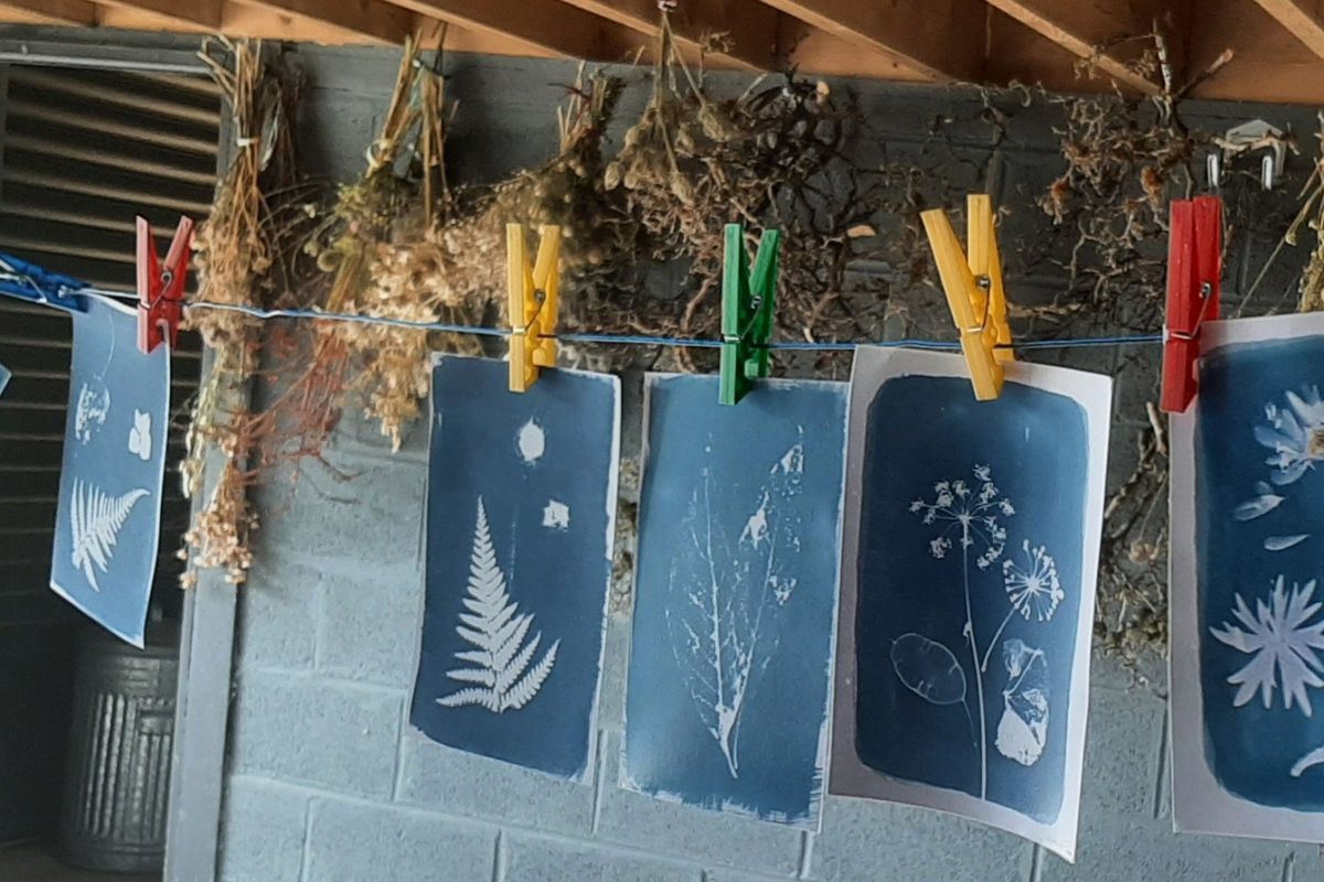 Cyanotype Blueprinting Workshops. Alexa Summers Art.