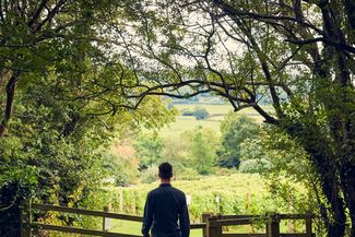 vineyard walks