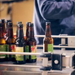 Bottling sparkling apple