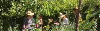 Garden at Rowan McOnegal Medicine