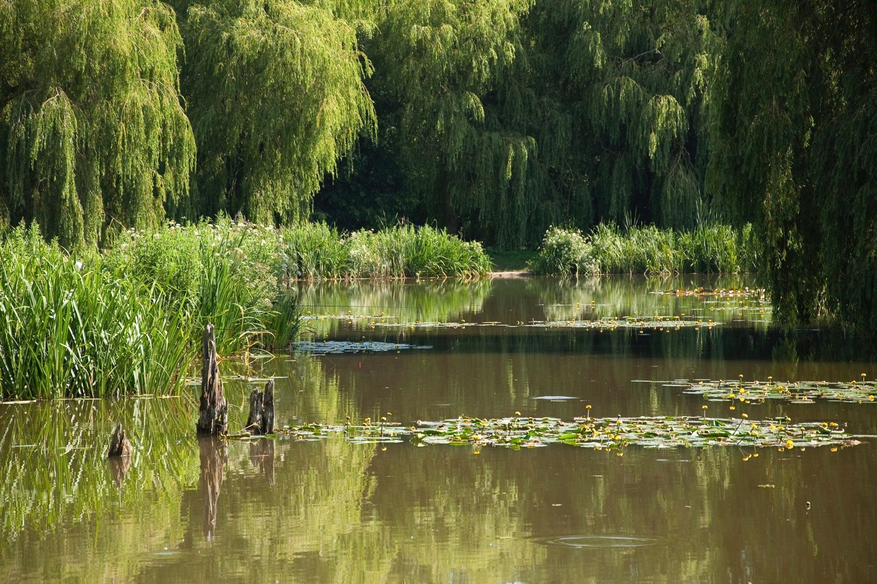 The Mickey Mouse lake - one of 14 here