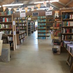 Upstairs at Aardvark Books